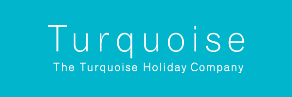 Turquoise logo