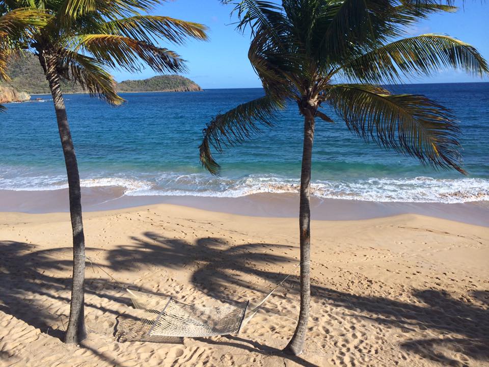 A net hammock hanging between two Palm trees on the beach