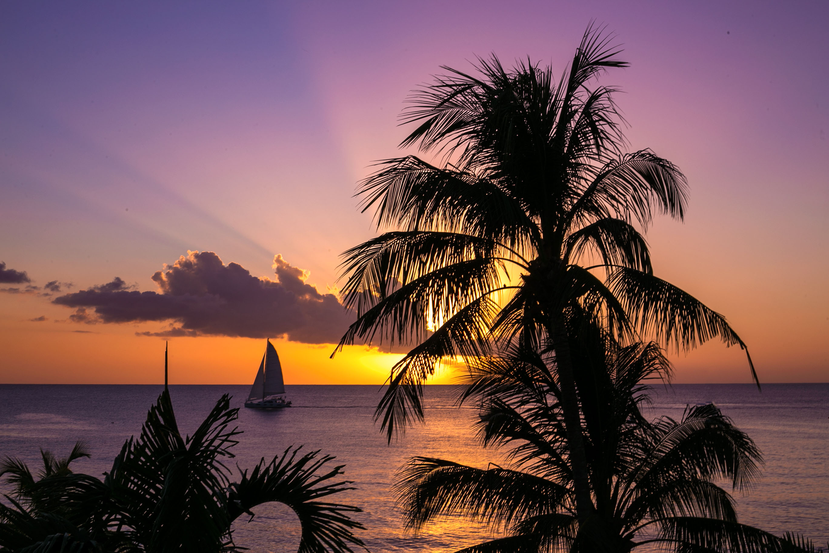 Stunning sun setting with a silhouette of Palm trees