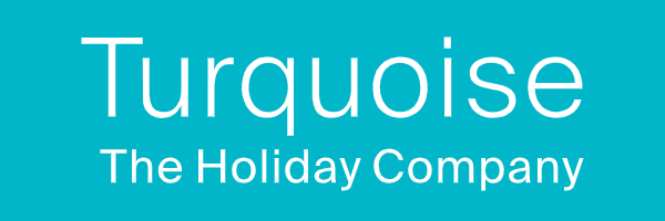 Turquoise logo