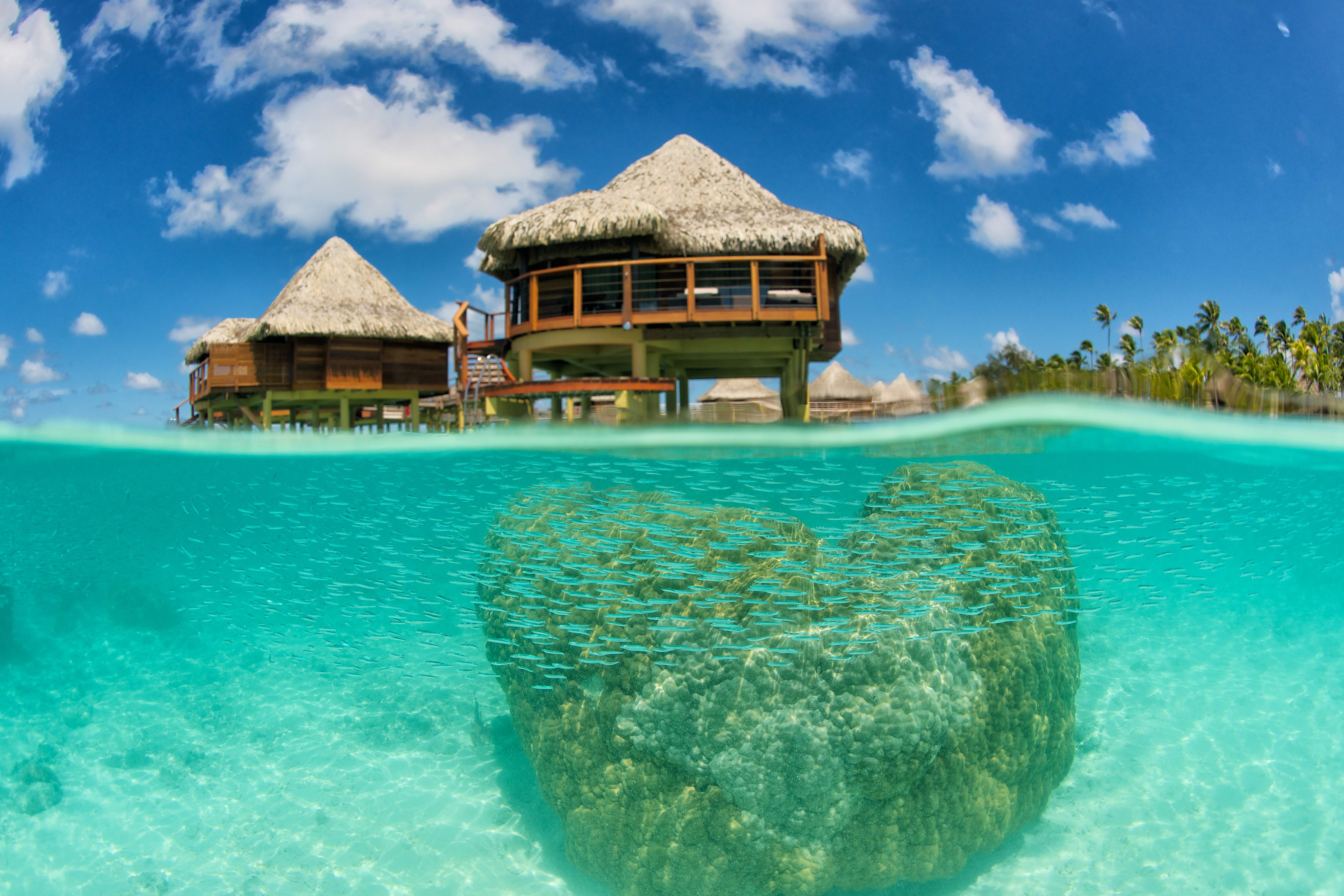 Hotel Kia Ora Over Water bungalow