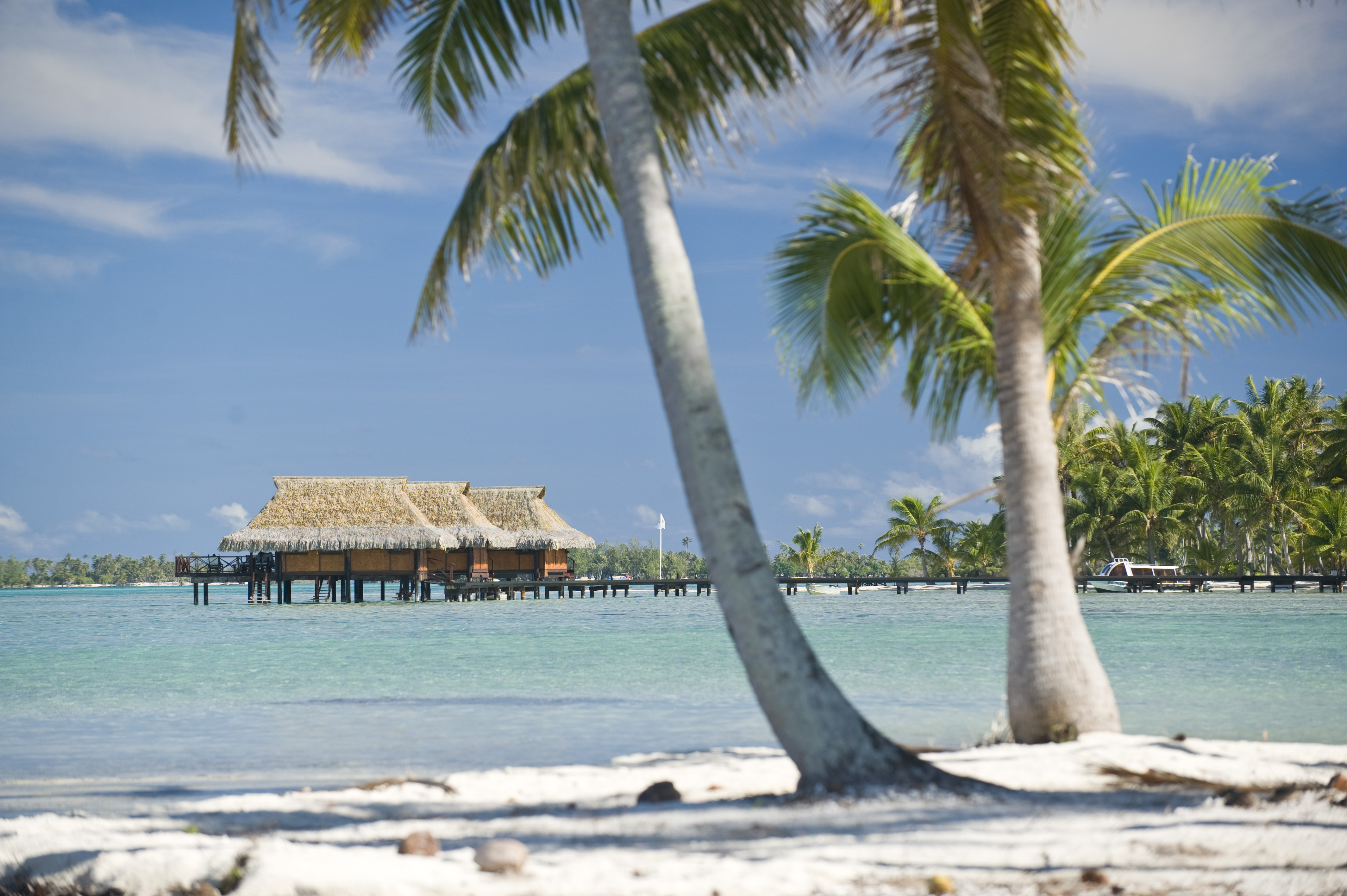 Vahine Island Beach