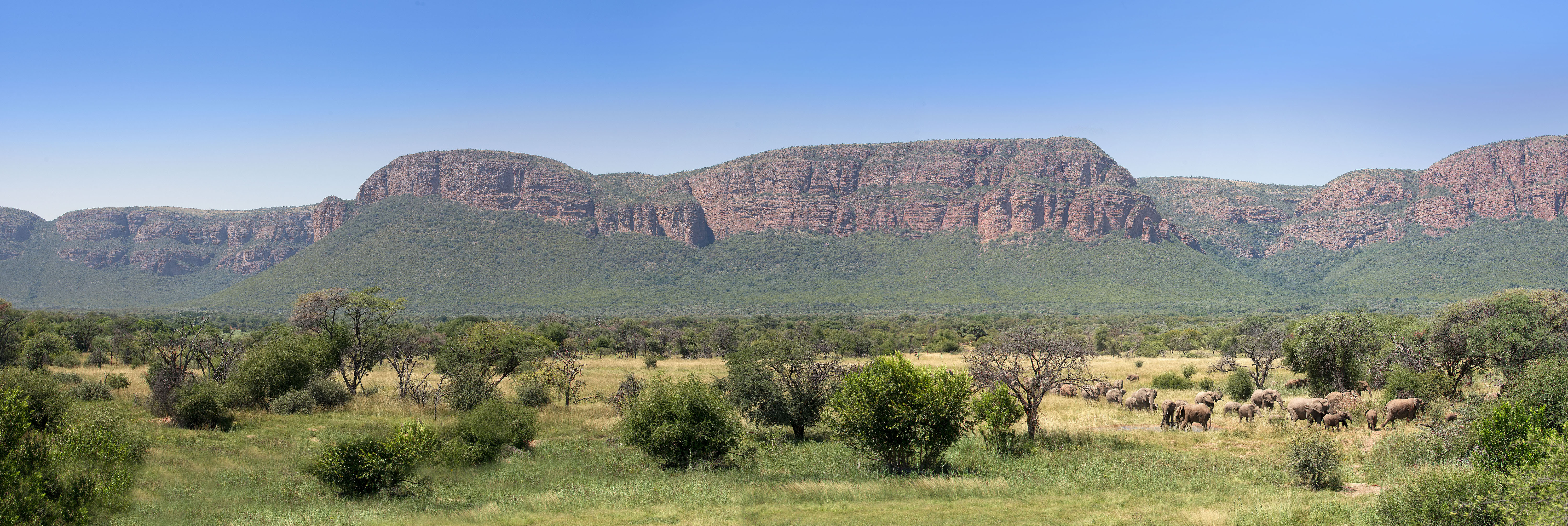 Elephants in view in malaria free Marakele National Park