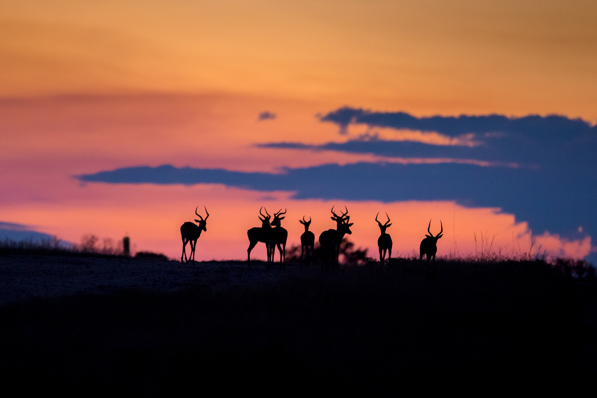 Sun setting in South Africa