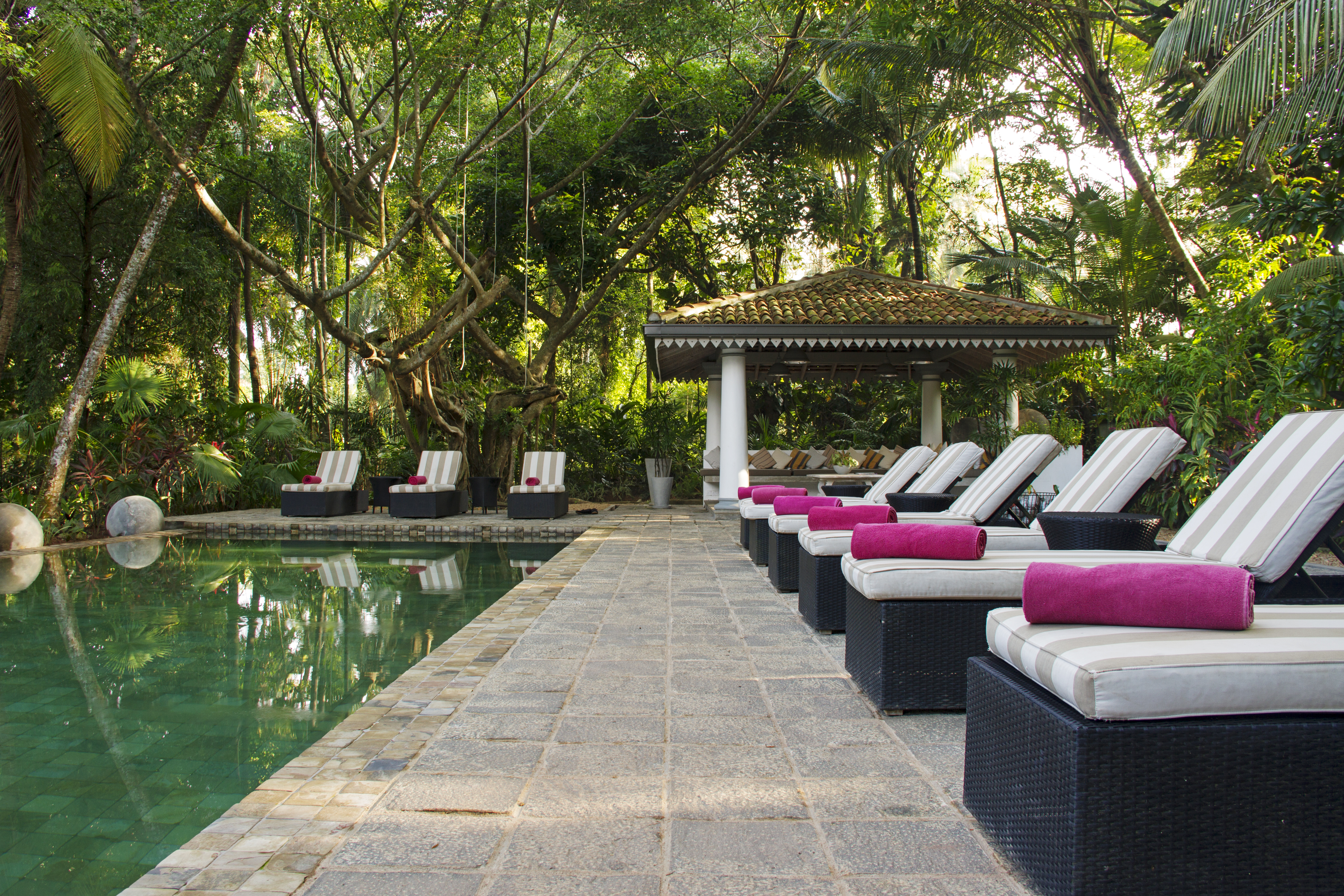 The sun loungers line up next to the crystal clear pool beneath the thick vegetation at The Wallawwa, Sri Lanka