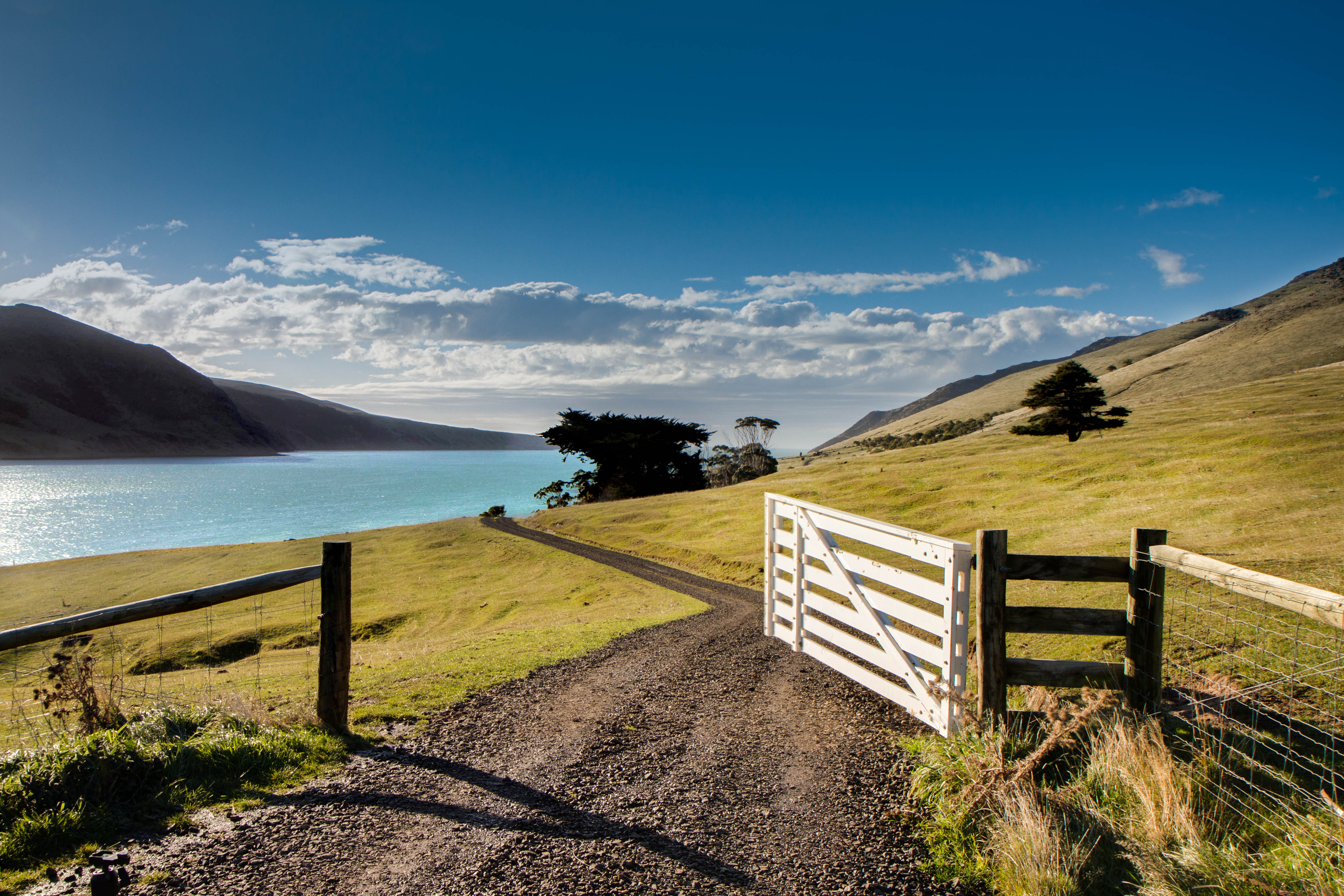 Farm gate at Annandale, Banks Peninsula