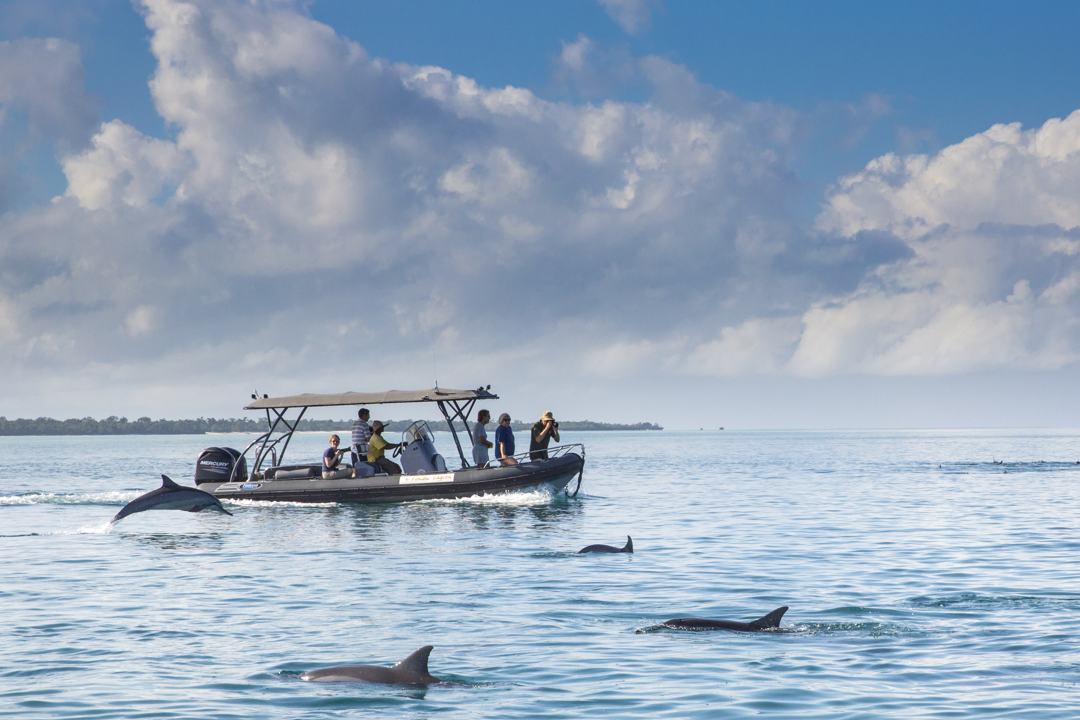 Dolphin watching from Fundu Lagoon Pemba Island