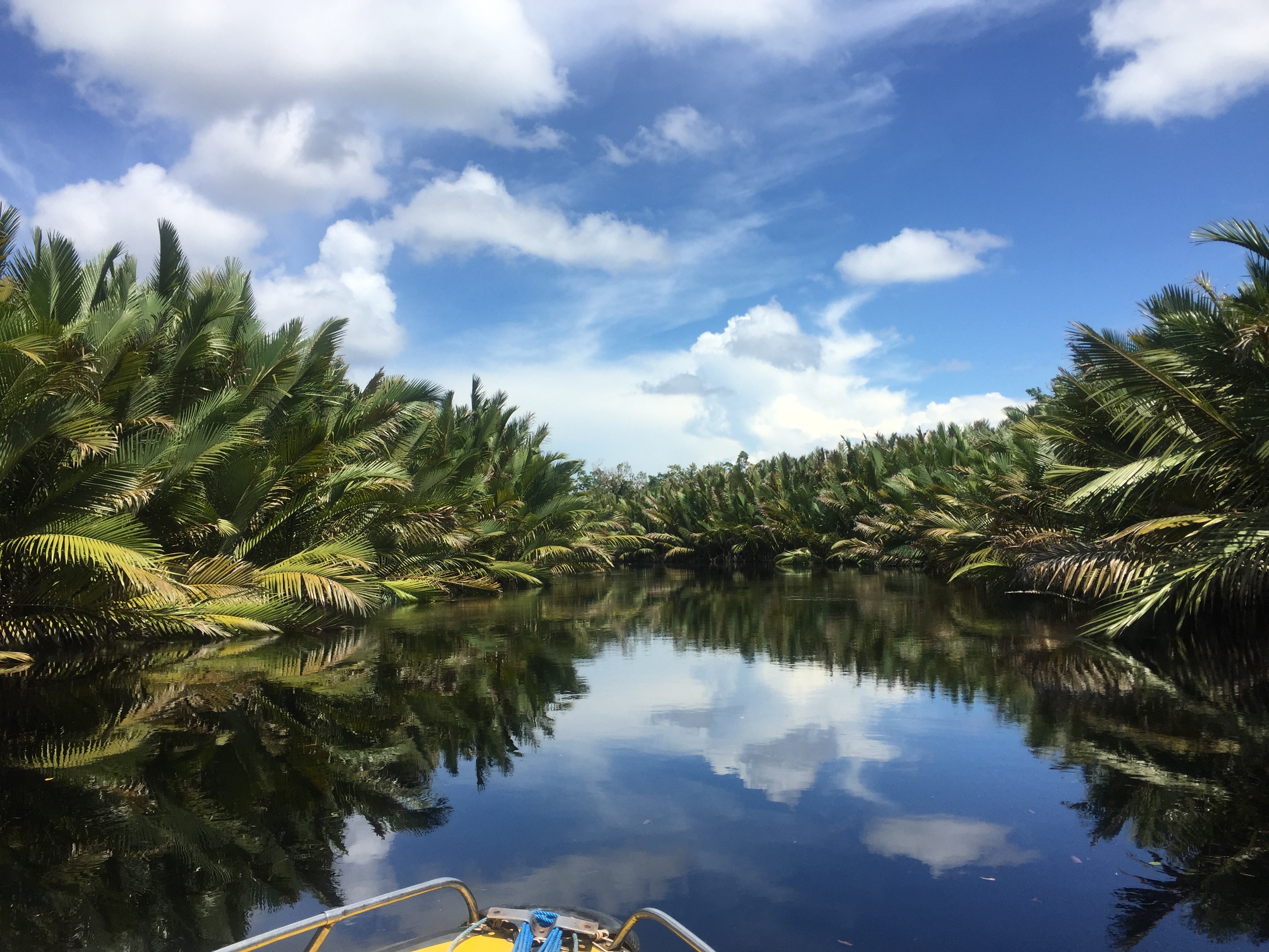 Sungai Buluh in Kalimantan Indonesia