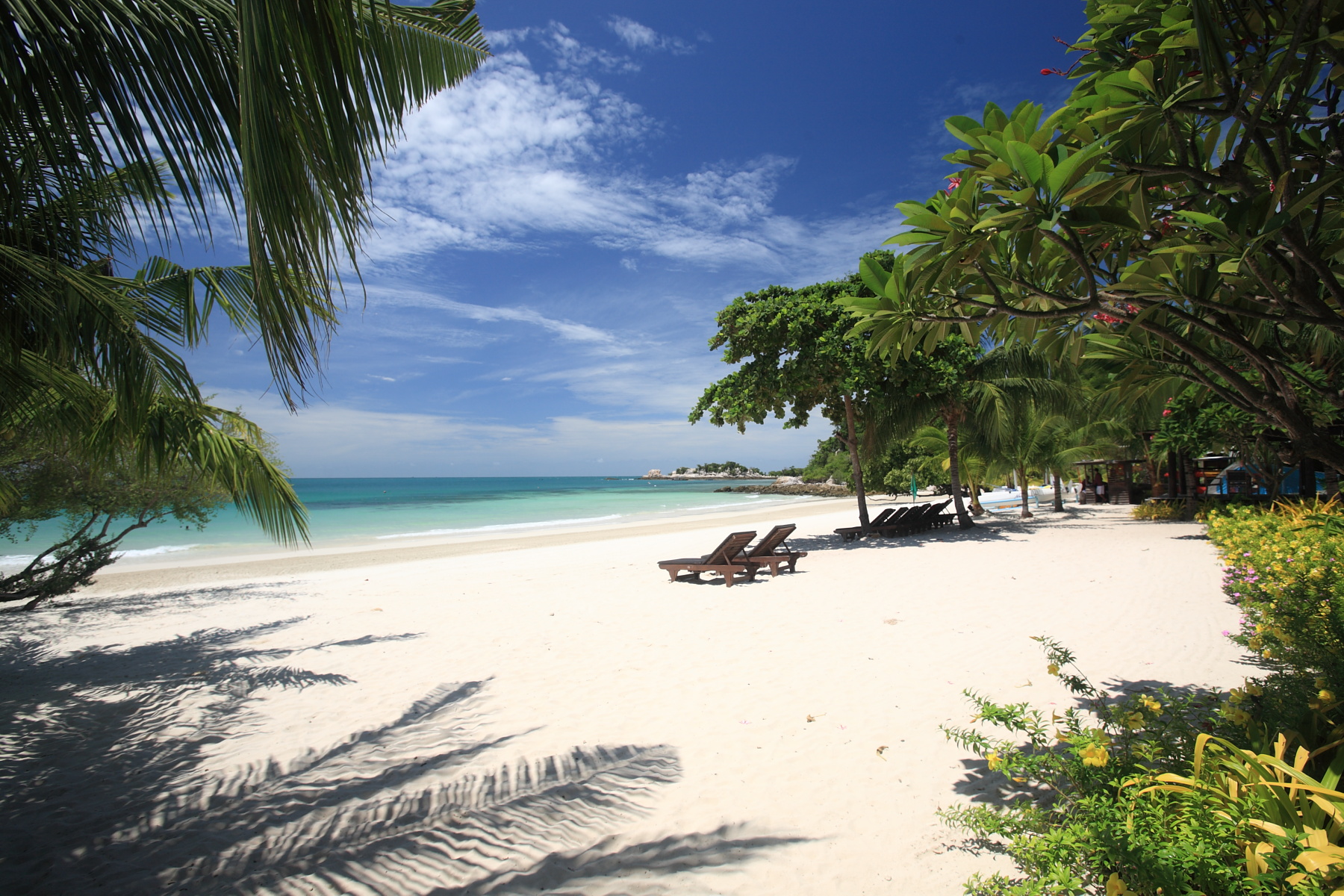 Clear beach and palm trees at Paradee