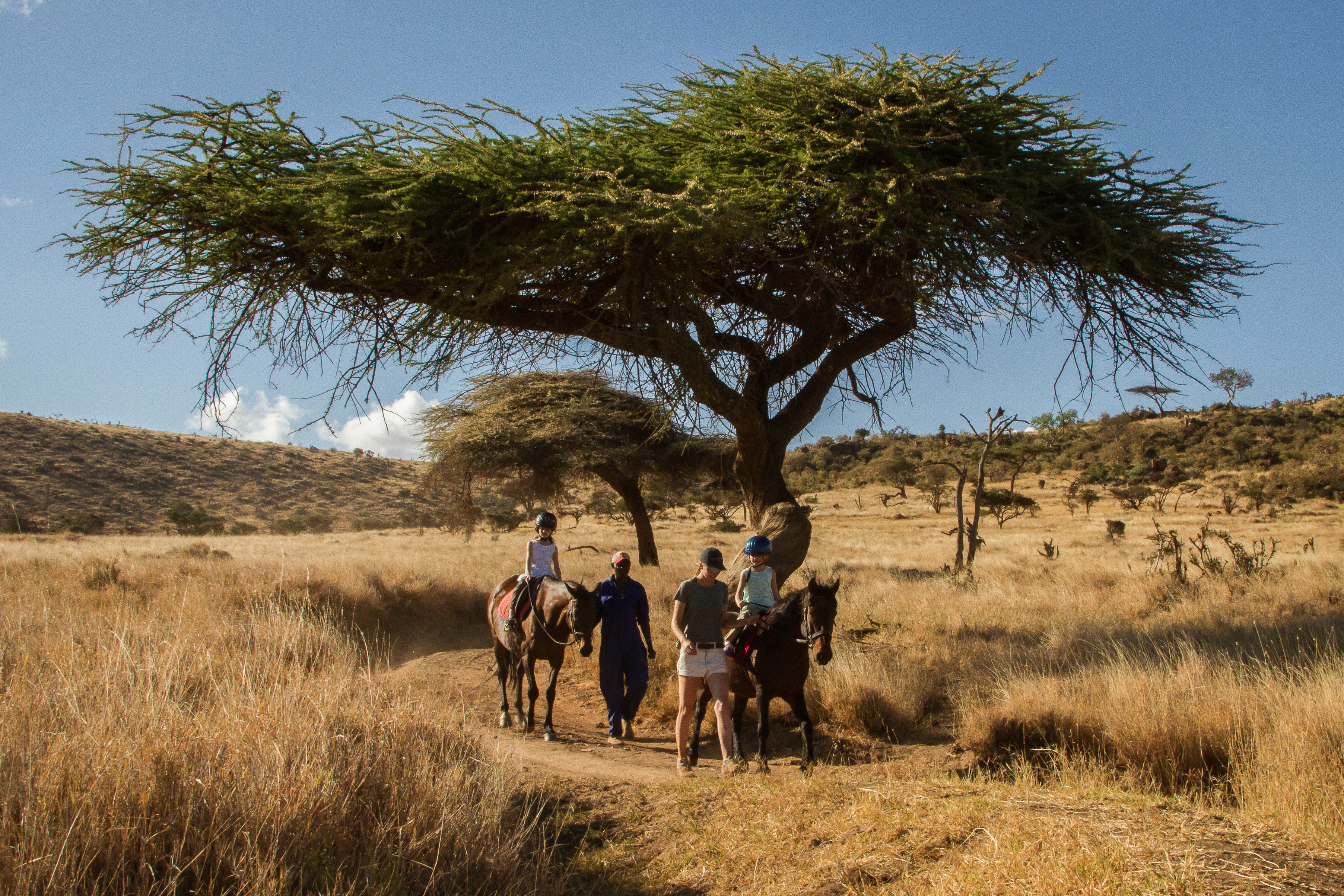 Children on horseback safari at Lewa Wilderbness