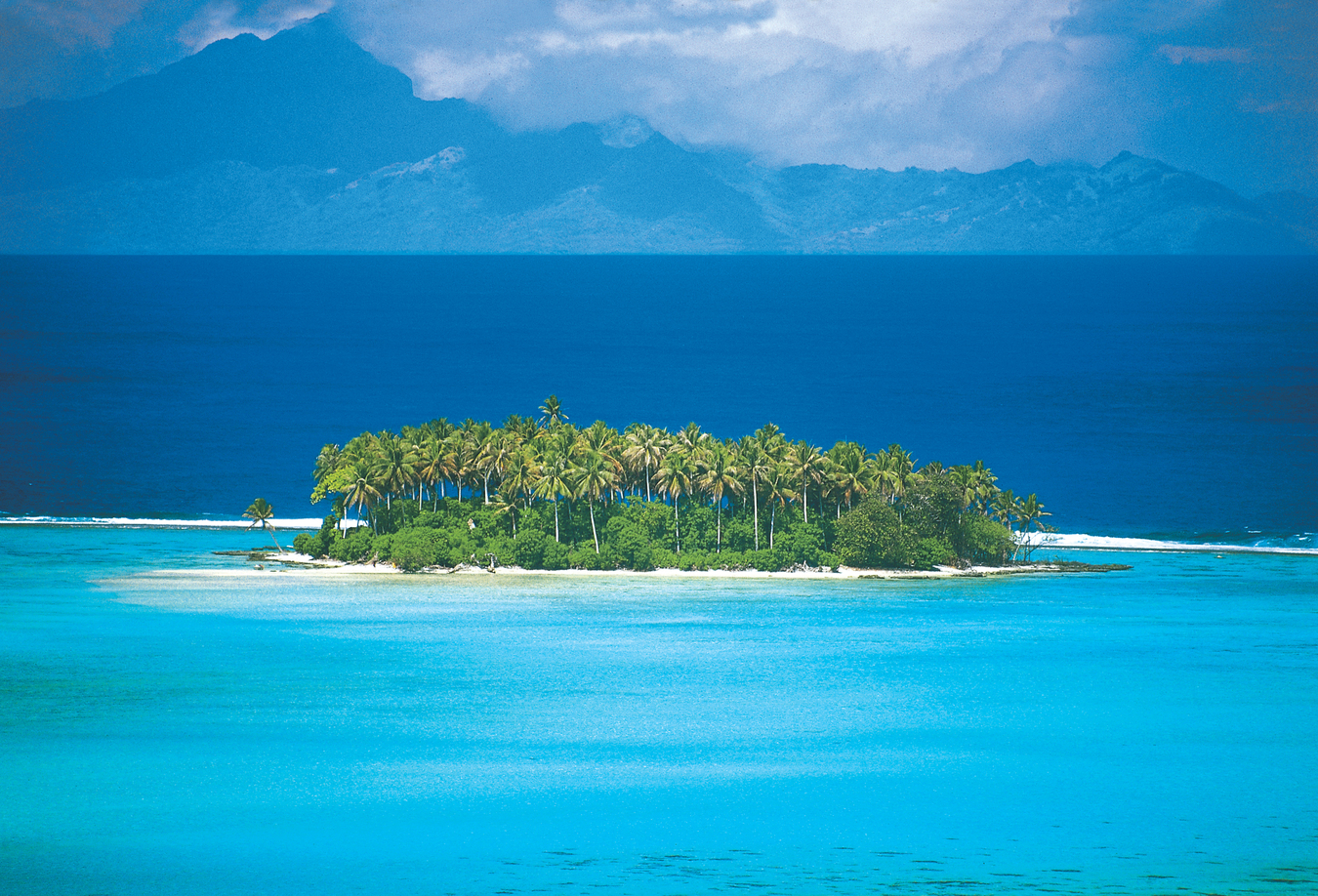 Raiatea Isle full of palm trees surrounded by turquoise waters